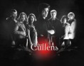 /album/fotogalerie-cullenovi/cullens12-jpg/